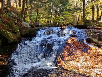 picture taken during a hike