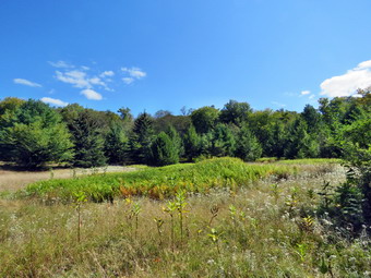 picture taken during a hike