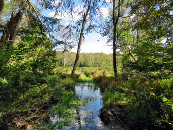 picture taken during a hike