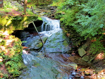 picture taken during a hike