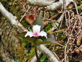 picture taken during a hike