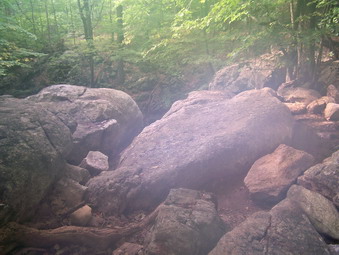 picture taken during a hike