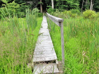 picture taken during a hike