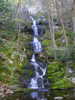 picture taken during a hike