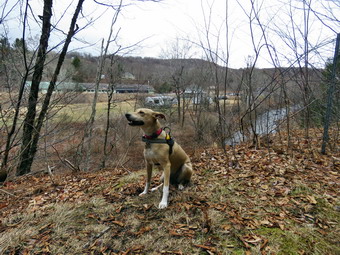 picture taken during a hike