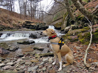 picture taken during a hike