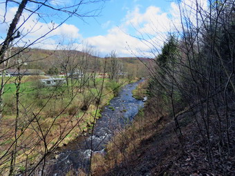 picture taken during a hike