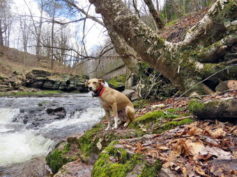 picture taken during a hike