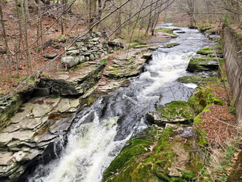 picture taken during a hike