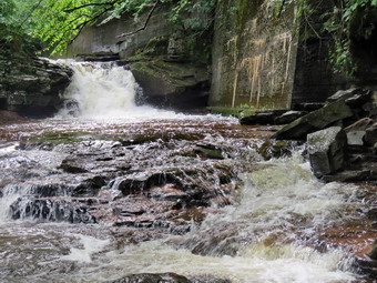 picture taken during a hike