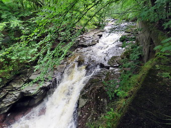 picture taken during a hike