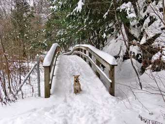 picture taken during a hike