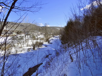 picture taken during a hike