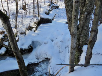 picture taken during a hike
