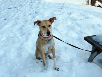 picture taken during a hike