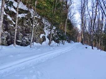 picture taken during a hike