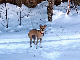 picture taken during a hike