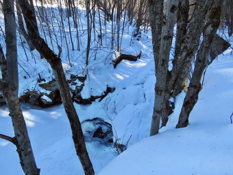 picture taken during a hike