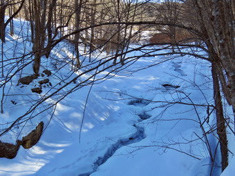 picture taken during a hike