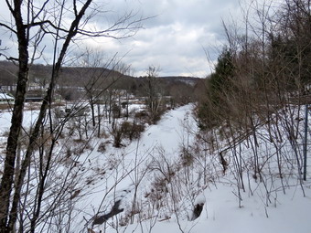 picture taken during a hike