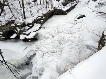 picture taken during a hike