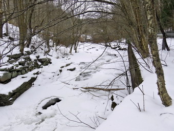 picture taken during a hike
