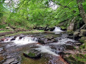 picture taken during a hike
