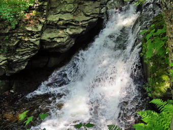 picture taken during a hike