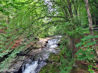picture taken during a hike