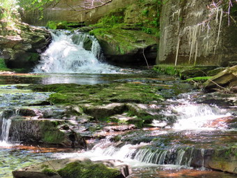 picture taken during a hike