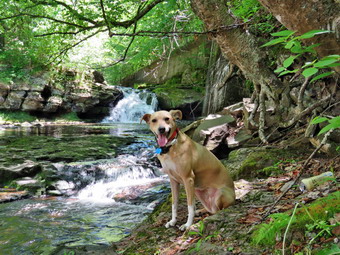 picture taken during a hike