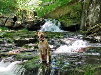 picture taken during a hike