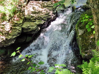 picture taken during a hike