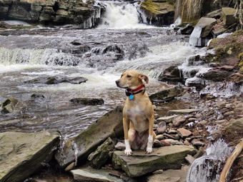 picture taken during a hike