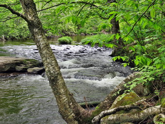 picture taken during a hike