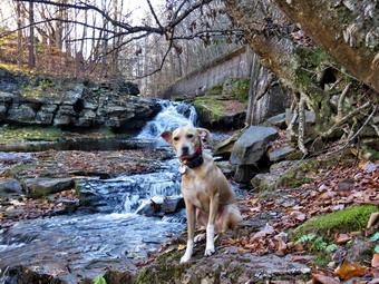 picture taken during a hike