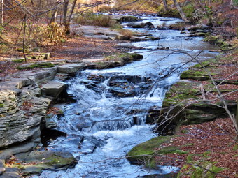 picture taken during a hike