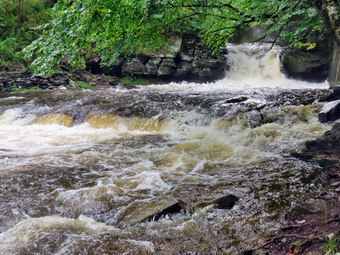 picture taken during a hike