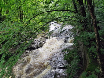 picture taken during a hike