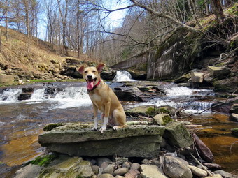 picture taken during a hike