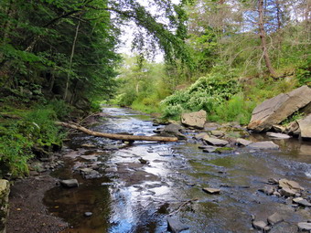 picture taken during a hike