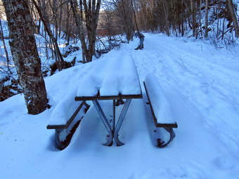 picture taken during a hike