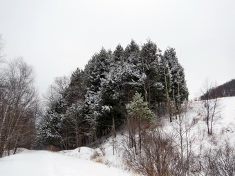 picture taken during a hike