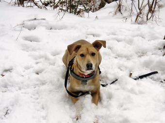 picture taken during a hike