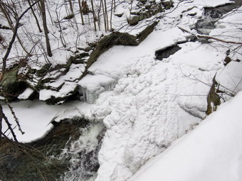 picture taken during a hike