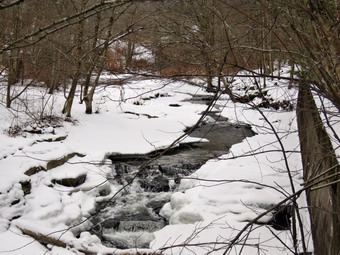 picture taken during a hike