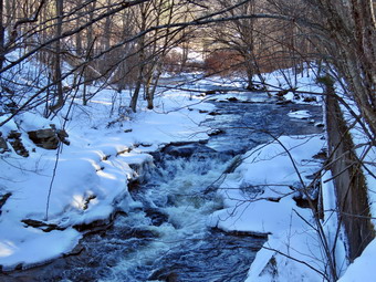 picture taken during a hike