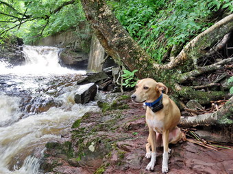 picture taken during a hike