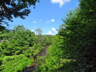 picture taken during a hike