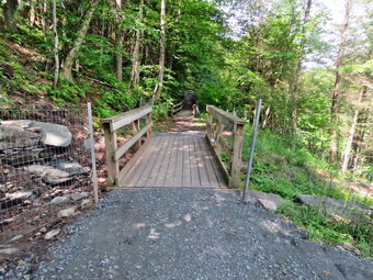 picture taken during a hike